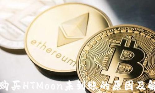 tP钱包购买HTMoon未到账的原因及解决方案