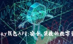 全面解析Topay钱包APP：安全