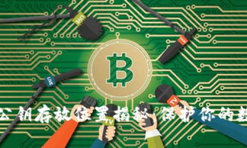 区块链钱包公钥存放位置揭秘:保护你的数字资产安全