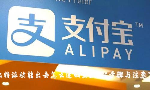 **比特派被转出去怎么追回来?详解步骤与注意事项