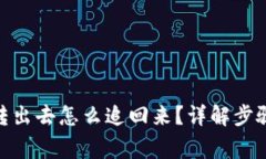 **比特派被转出去怎么追回