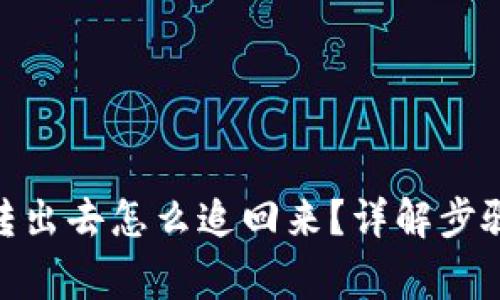 **比特派被转出去怎么追回来?详解步骤与注意事项