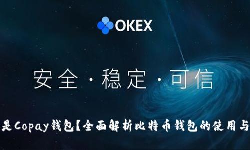 什么是Copay钱包？全面解析比特币钱包的使用与功能