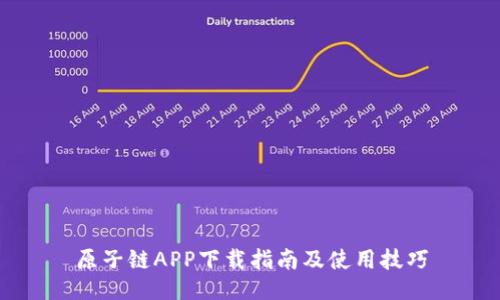 原子链APP下载指南及使用技巧
