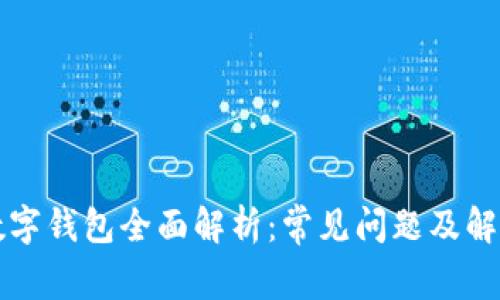 国际数字钱包全面解析:常见问题及解决方案