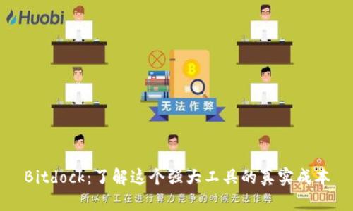 Bitdock:了解这个强大工具的真实成本