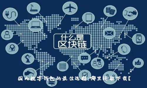 国内数字钱包的最佳选择:哪里还能下载?