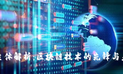 TP钱包公司主体解析:区块链技术的先锋与未来发展趋势
