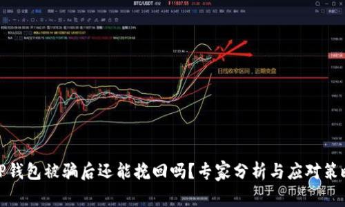 TP钱包被骗后还能挽回吗?专家分析与应对策略