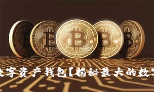 如何选择最适合你的数字资产钱包？揭秘最大的数字资产钱包功能与优势