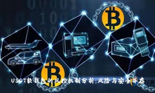 USDT软钱包的风控机制分析:风险与安全并存