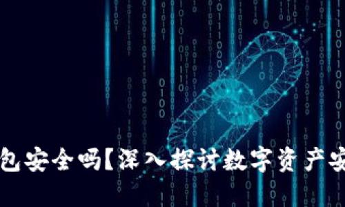 可用版本TP钱包安全吗?深入探讨数字资产安全与隐私保护