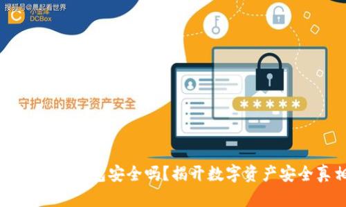 虚拟币上钱包安全吗?揭开数字资产安全真相