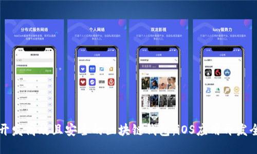 如何开发高效且安全的区块链钱包:iOS应用开发全指南