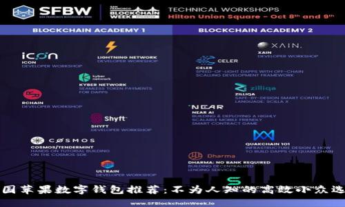 美国苹果数字钱包推荐：不为人知的高效小众选择