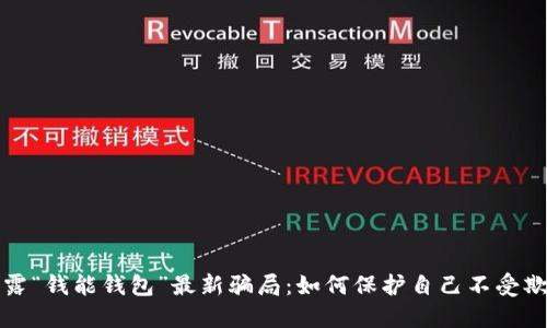 揭露“钱能钱包”最新骗局：如何保护自己不受欺诈