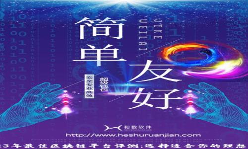 
2023年最佳区块链平台评测：选择适合你的理想项目