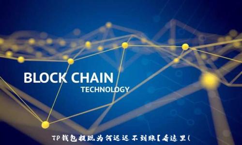  
TP钱包提现为何迟迟不到账？看这里！