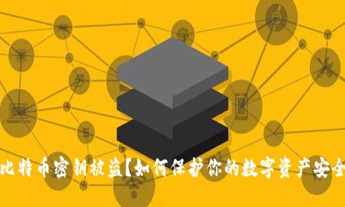比特币密钥被盗?如何保护你的数字资产安全