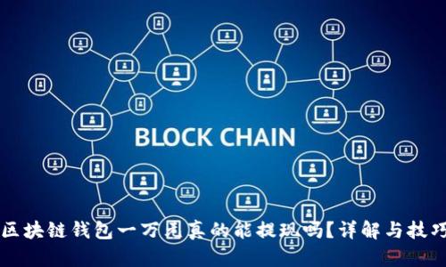 区块链钱包一万元真的能提现吗?详解与技巧