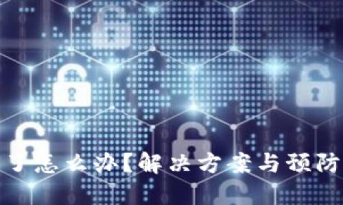 TP钱包被转走了怎么办?解决方案与预防措施一网打尽