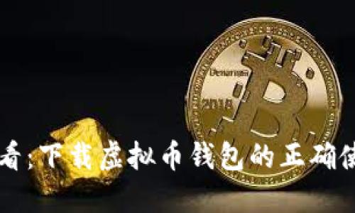 新手必看:下载虚拟币钱包的正确使用方法