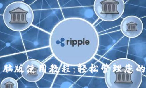 TP钱包电脑版使用教程：轻松管理您的数字资产