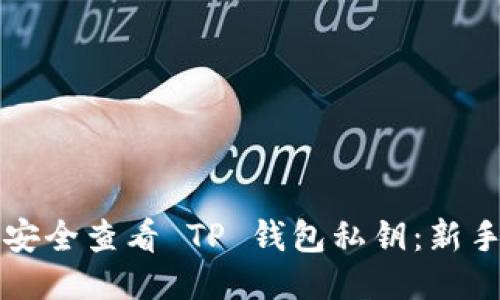 如何安全查看 TP 钱包私钥：新手指南