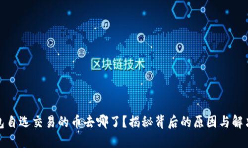 TP钱包自选交易的币去哪了?揭秘背后的原因与解决方案