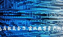如何使用TP钱包与松鼠合作