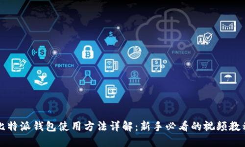 比特派钱包使用方法详解：新手必看的视频教程
