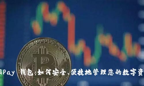 CGPay 钱包:如何安全、便捷地管理您的数字资产