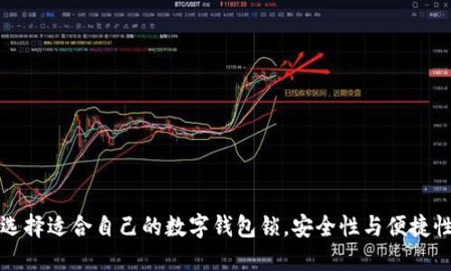 如何选择适合自己的数字钱包锁,安全性与便捷性并重