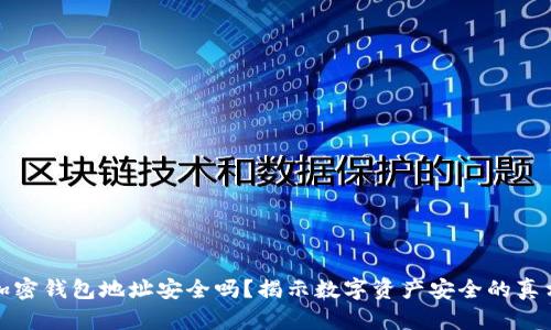 加密钱包地址安全吗?揭示数字资产安全的真相