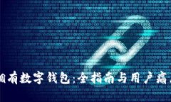 轻松拥有数字钱包：全指