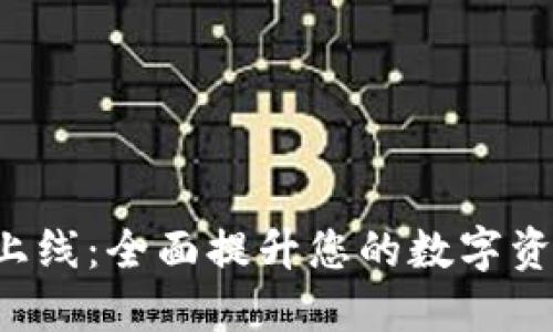 TP钱包HVP上线:全面提升您的数字资产管理体验