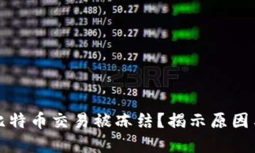 如何应对比特币交易被冻结?揭示原因与解决方案