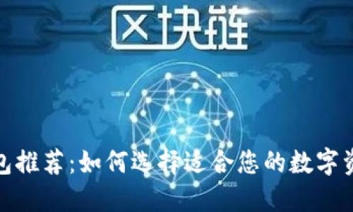 数字货币钱包推荐：如何选择适合您的数字资产管理工具
