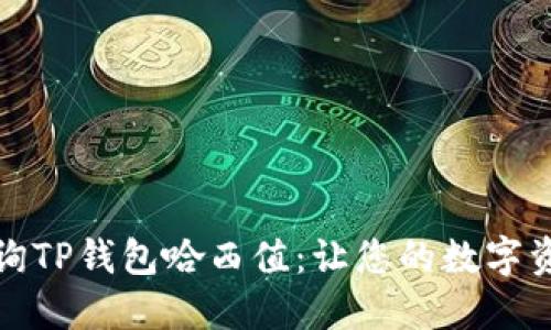 如何轻松查询TP钱包哈西值：让您的数字资产管理无忧