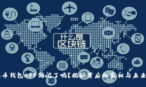 虚拟币钱包APP倒闭了吗？揭秘背后的真相与未来展望