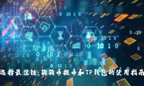 选择最佳链：狗狗币提币和TP钱包的使用指南