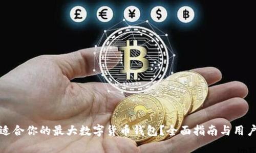 如何选择适合你的最大数字货币钱包？全面指南与用户痛点解读