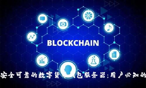 如何选择安全可靠的数字货币钱包服务器:用户必知的实用指南
