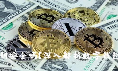 TP钱包私钥安全吗?深入解析数字钱包安全问题