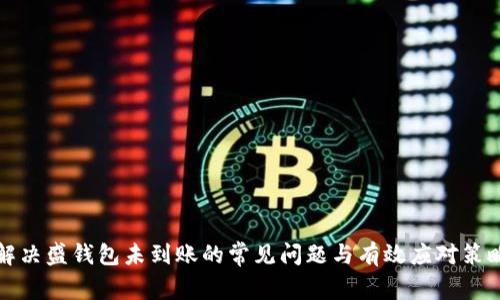 解决盛钱包未到账的常见问题与有效应对策略