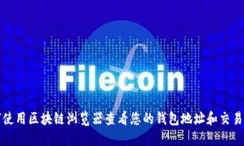 如何使用区块链浏览器查看您的钱包地址和交易记录