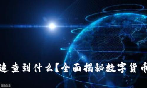 TP钱包交易记录能追查到什么？全面揭秘数字货币的透明性与隐私性