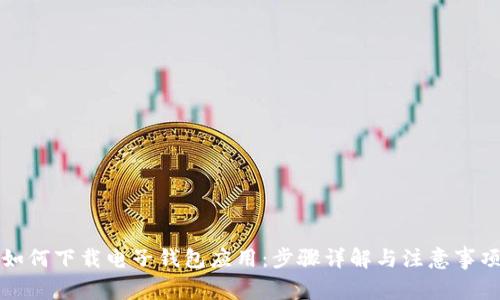 如何下载电子钱包应用：步骤详解与注意事项