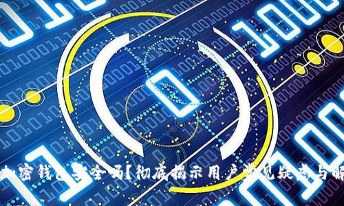 中文版加密钱包安全吗？彻底揭示用户常见疑虑与解决方案