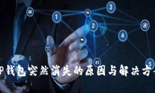 TP钱包突然消失的原因与解决方案